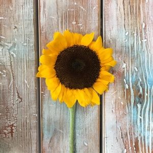 Meet your Posher, Bethany